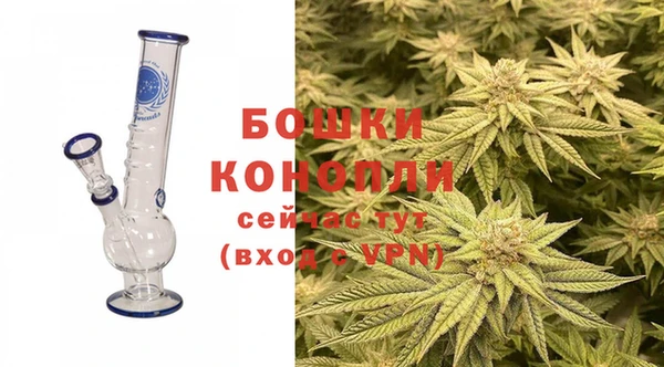 прущие грибы Балахна