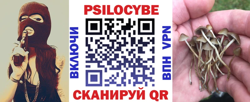 Галлюциногенные грибы Psilocybe  нарко площадка Telegram  Ессентуки  цена наркотик 